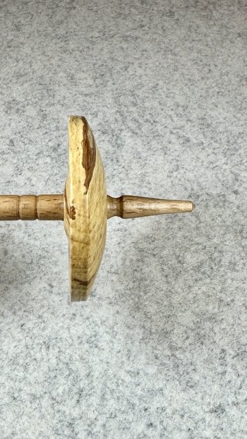 Anfängerspindel L06 (28 g)