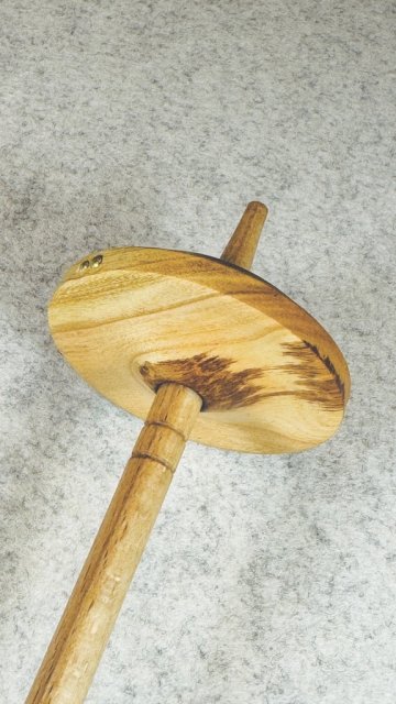 Lernspindel/Anfängerspindel L03 (28 g)