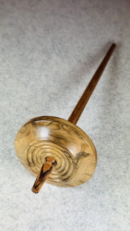 Lernspindel/Anfängerspindel L10 (34 g)