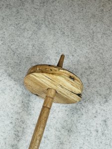 Tiefwirtelspindel/Anfängerspindel T25 (30 g)